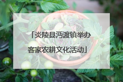 炎陵县沔渡镇举办客家农耕文化活动