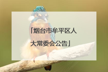 烟台市牟平区人大常委会公告