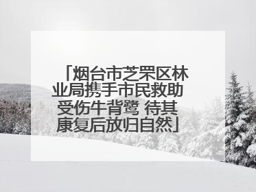 烟台市芝罘区林业局携手市民救助受伤牛背鹭 待其康复后放归自然