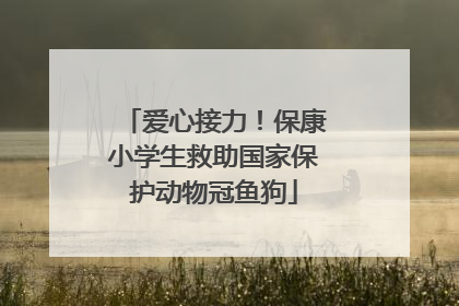 爱心接力！保康小学生救助国家保护动物冠鱼狗
