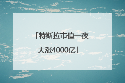 特斯拉市值一夜大涨4000亿