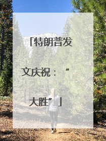 特朗普发文庆祝：“大胜”