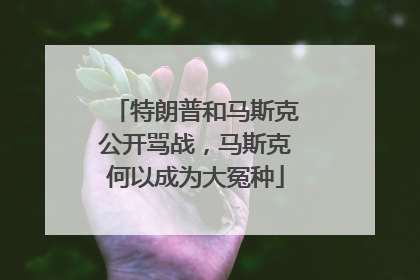 特朗普和马斯克公开骂战，马斯克何以成为大冤种