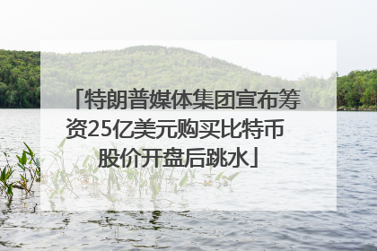 特朗普媒体集团宣布筹资25亿美元购买比特币 股价开盘后跳水