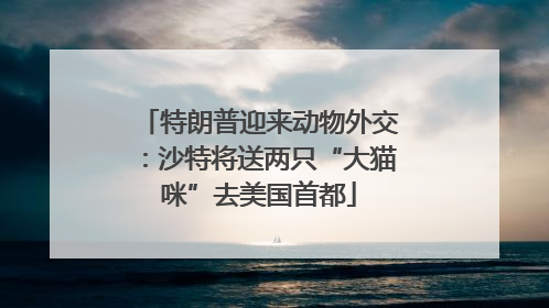 特朗普迎来动物外交：沙特将送两只“大猫咪”去美国首都