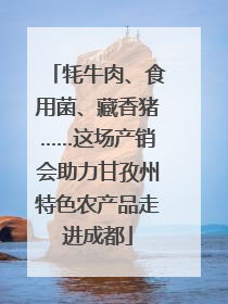 牦牛肉、食用菌、藏香猪……这场产销会助力甘孜州特色农产品走进成都