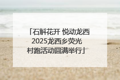 石斛花开 悦动龙西 2025龙西乡荧光村跑活动圆满举行