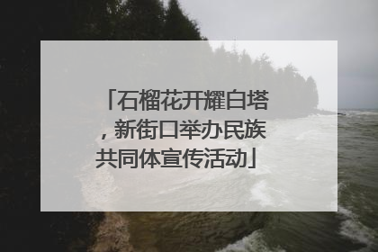 石榴花开耀白塔，新街口举办民族共同体宣传活动
