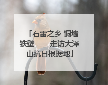 石雷之乡 铜墙铁壁——走访大泽山抗日根据地