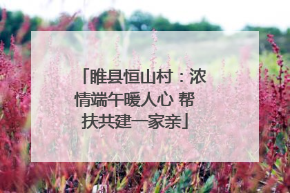 睢县恒山村：浓情端午暖人心 帮扶共建一家亲