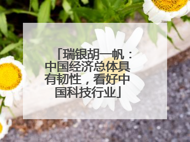瑞银胡一帆：中国经济总体具有韧性，看好中国科技行业
