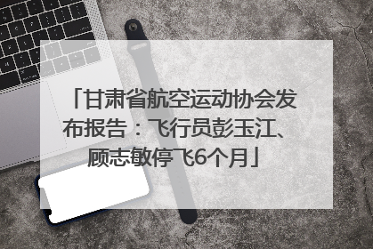 甘肃省航空运动协会发布报告：飞行员彭玉江、顾志敏停飞6个月