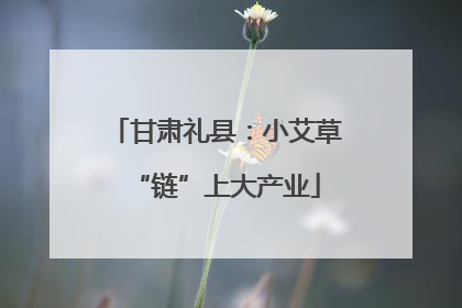 甘肃礼县：小艾草“链”上大产业