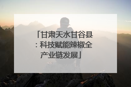甘肃天水甘谷县：科技赋能辣椒全产业链发展