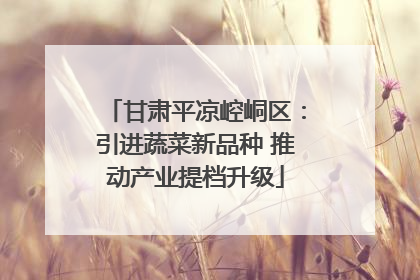 甘肃平凉崆峒区：引进蔬菜新品种 推动产业提档升级