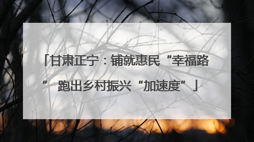 甘肃正宁：铺就惠民“幸福路” 跑出乡村振兴“加速度”