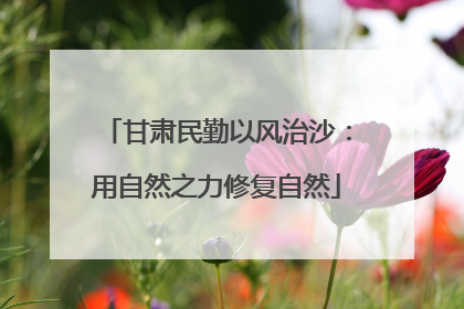 甘肃民勤以风治沙：用自然之力修复自然