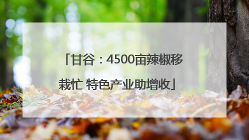 甘谷：4500亩辣椒移栽忙 特色产业助增收