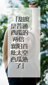 甜度是普通西瓜的两倍 襄阳首批太空西瓜熟了
