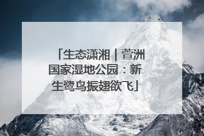 生态潇湘｜萱洲国家湿地公园：新生鹭鸟振翅欲飞