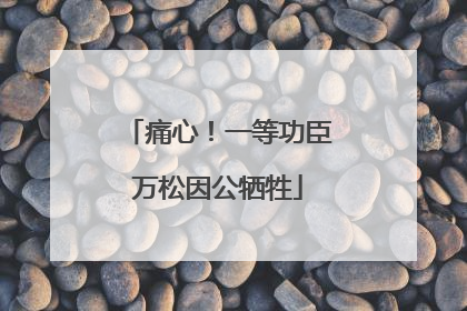 痛心！一等功臣万松因公牺牲