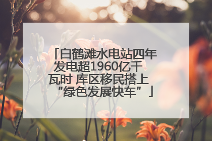 白鹤滩水电站四年发电超1960亿千瓦时 库区移民搭上“绿色发展快车”