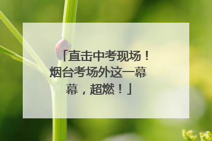 直击中考现场！烟台考场外这一幕幕，超燃！