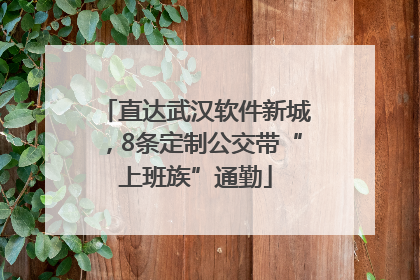 直达武汉软件新城，8条定制公交带“上班族”通勤