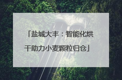 盐城大丰：智能化烘干助力小麦颗粒归仓