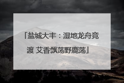 盐城大丰：湿地龙舟竞渡 艾香飘荡野鹿荡
