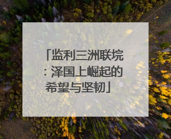 监利三洲联垸：泽国上崛起的希望与坚韧