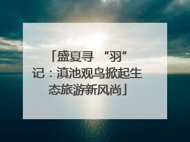 盛夏寻 “羽” 记：滇池观鸟掀起生态旅游新风尚