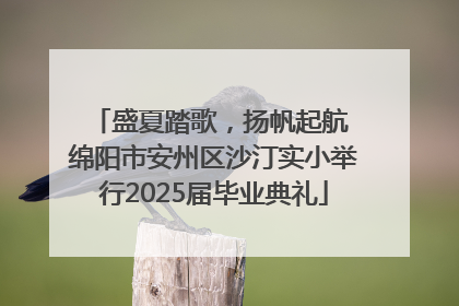 盛夏踏歌，扬帆起航 绵阳市安州区沙汀实小举行2025届毕业典礼