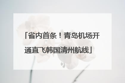 省内首条！青岛机场开通直飞韩国清州航线