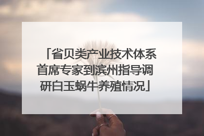 省贝类产业技术体系首席专家到滨州指导调研白玉蜗牛养殖情况