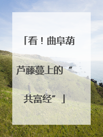 看！曲阜葫芦藤蔓上的“共富经”