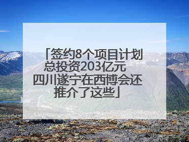 签约8个项目计划总投资203亿元 四川遂宁在西博会还推介了这些