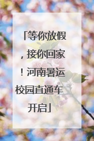 等你放假，接你回家！河南暑运校园直通车开启