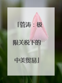 管涛：极限关税下的中美贸易