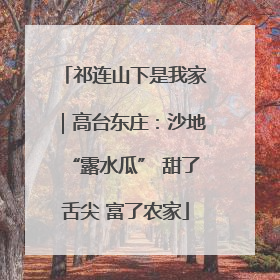 祁连山下是我家｜高台东庄：沙地“露水瓜” 甜了舌尖 富了农家