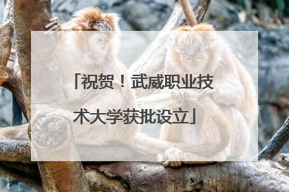 祝贺！武威职业技术大学获批设立
