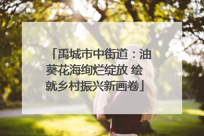 禹城市中街道：油葵花海绚烂绽放 绘就乡村振兴新画卷