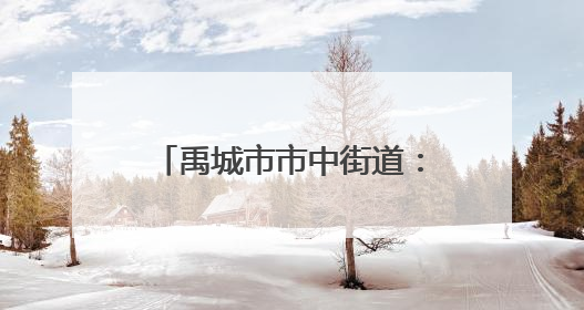 禹城市市中街道：项目攻坚正酣 双招双引再启新程