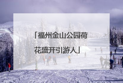 福州金山公园荷花盛开引游人