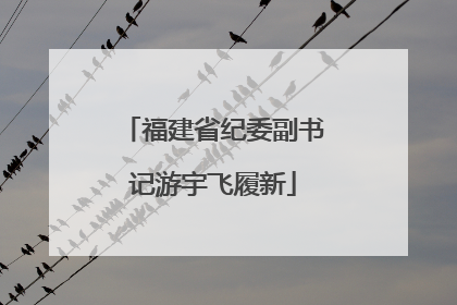 福建省纪委副书记游宇飞履新