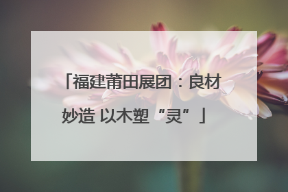 福建莆田展团：良材妙造 以木塑“灵”