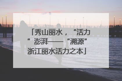 秀山丽水，“活力”澎湃——“溯源”浙江丽水活力之本