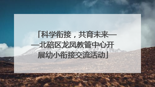 科学衔接，共育未来——北碚区龙凤教管中心开展幼小衔接交流活动