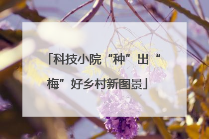 科技小院“种”出“梅”好乡村新图景