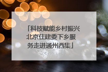 科技赋能乡村振兴 北京住建委下乡服务走进通州西集